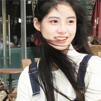 森林之境