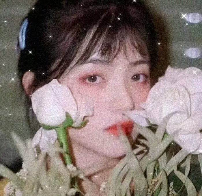 消失的王子